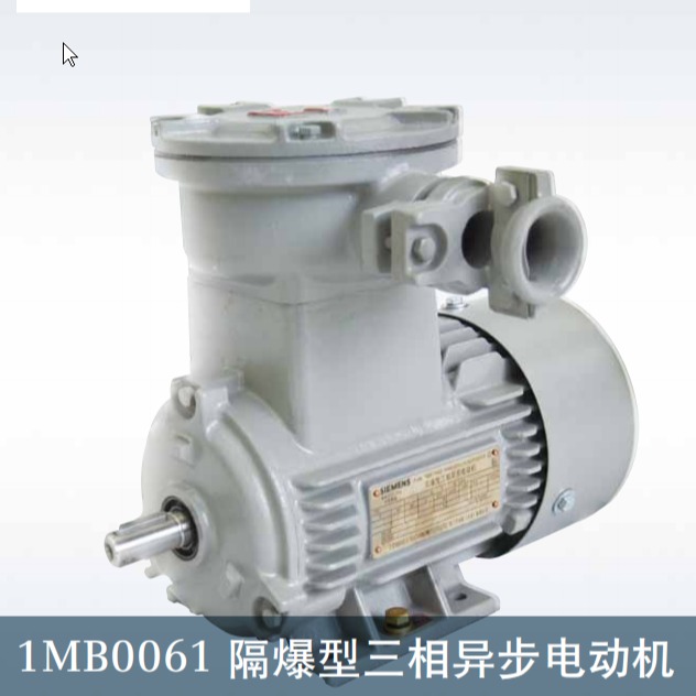 西門(mén)子氣體防爆電機(jī)